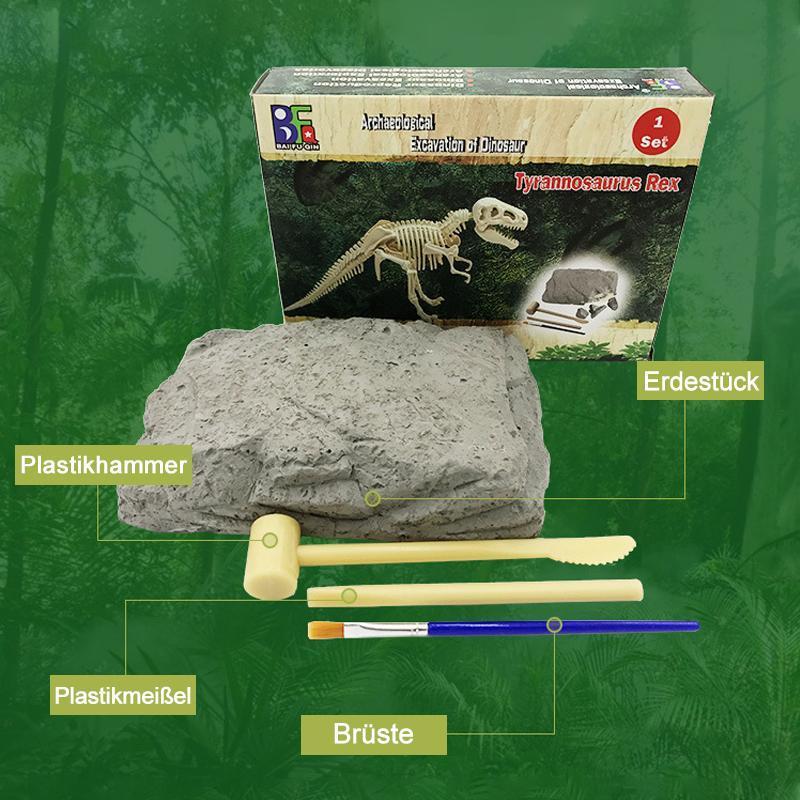 DinoEntdecker | Fossilien-Ausgrabungsset für Kinder