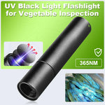 Kompakte UV-Taschenlampe – 365 nm Schwarzlicht für den Heimgebrauch