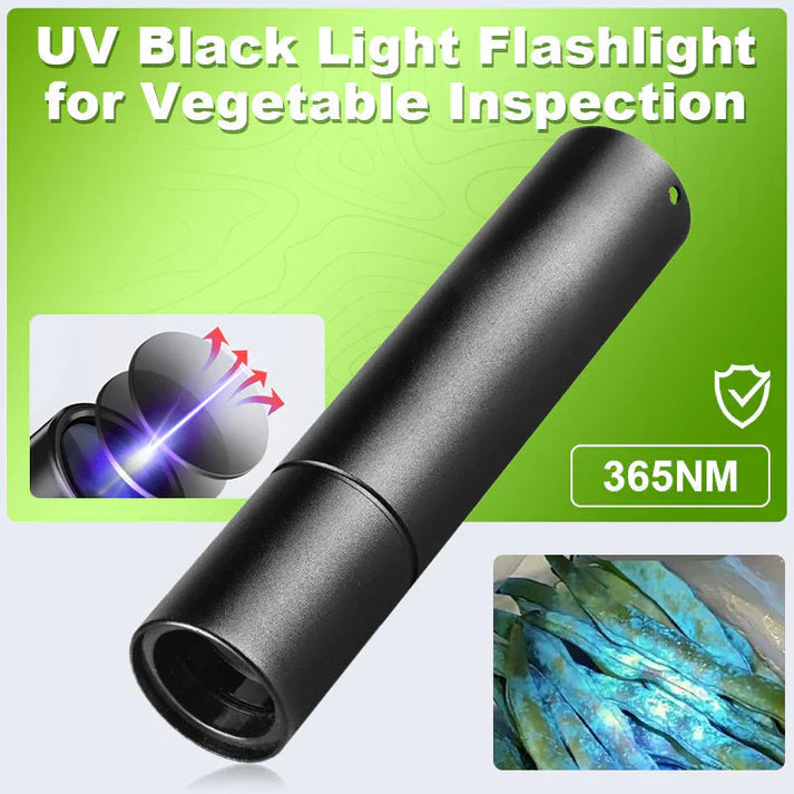 Kompakte UV-Taschenlampe – 365 nm Schwarzlicht für den Heimgebrauch