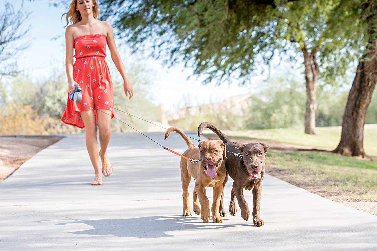 Two-dog retractable leash with 360-degree swivel mechanism