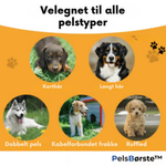 Hair Protection Pro - For a clean home without dog hair