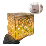 Tulpenzauber | Elegantes Lichtspiel für Ihr Zuhause