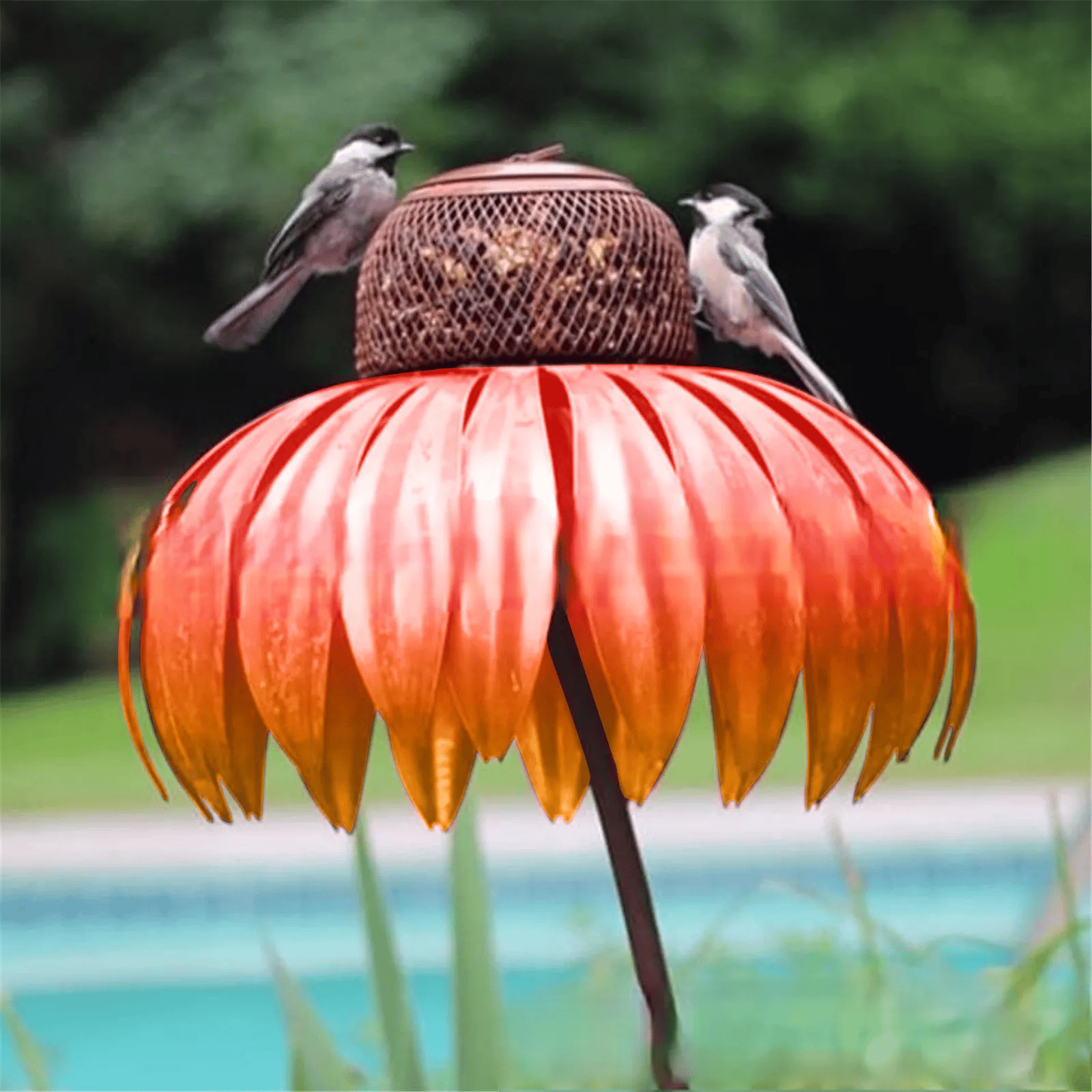 Bird Paradise Flower House – Plant joy in your garden
