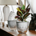 SmartWater Flower Pot with Self-Watering and Transparent Design