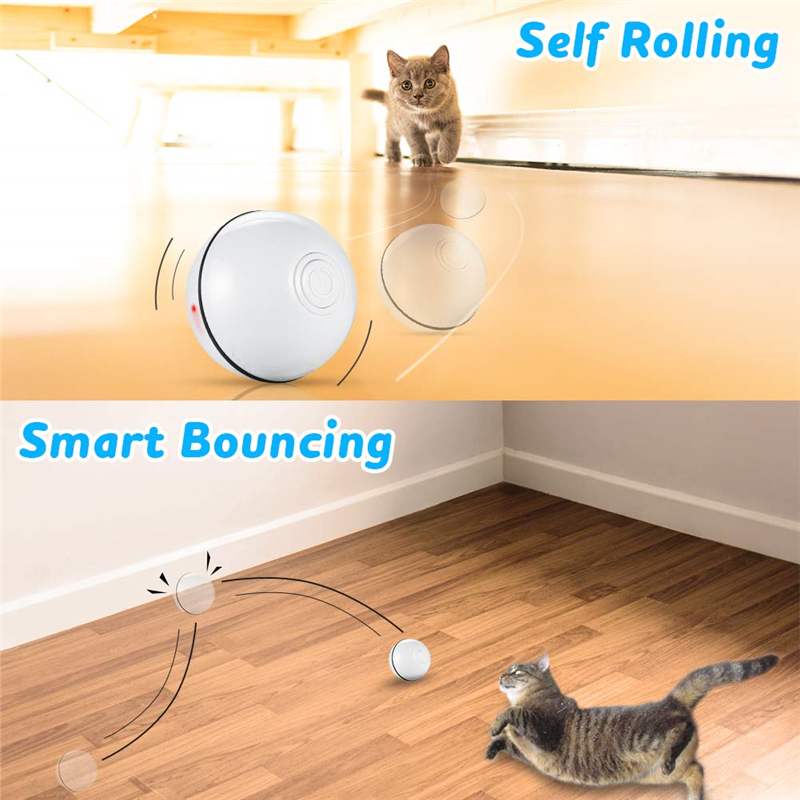 Interaktiver Smartball für Haustiere