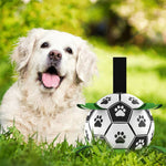 AktivBall – The perfect playmate for dogs in water and on land