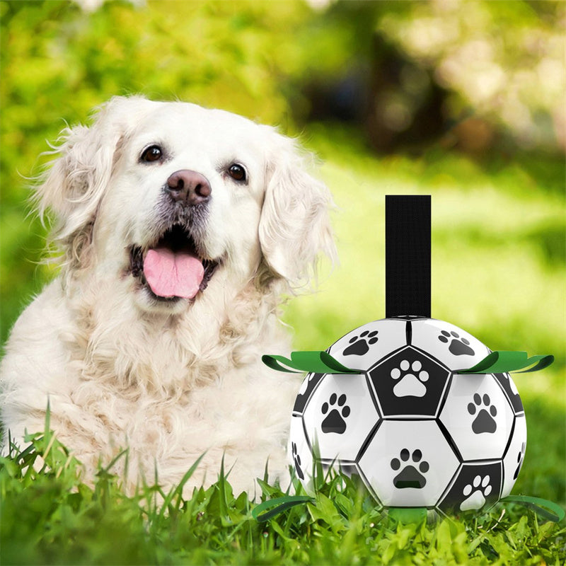 AktivBall – The perfect playmate for dogs in water and on land