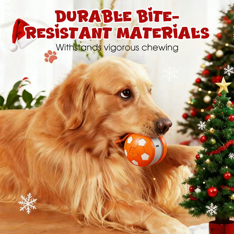 Interaktiver Spielball für Hunde mit USB-Ladung