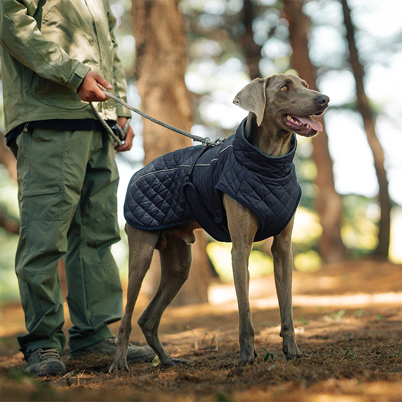 Dog Winter Coat – For warm and safe walks