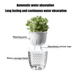 SmartWater Flower Pot with Self-Watering and Transparent Design