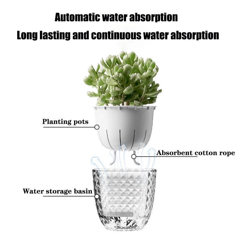 SmartWater Flower Pot with Self-Watering and Transparent Design