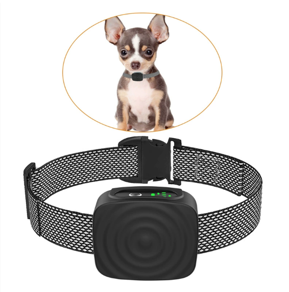 Smart training collar for small dogs