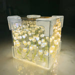 Zauberhafte Tulpenlampe – Blossom Box