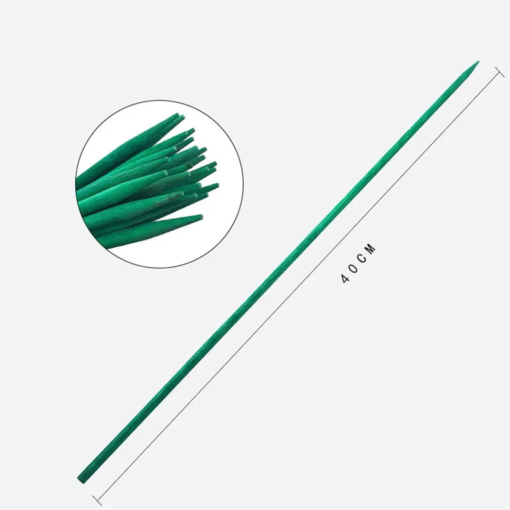 BambooPro Plant Supports 40 cm | Set of 10 | Green | Stability for Your Garden