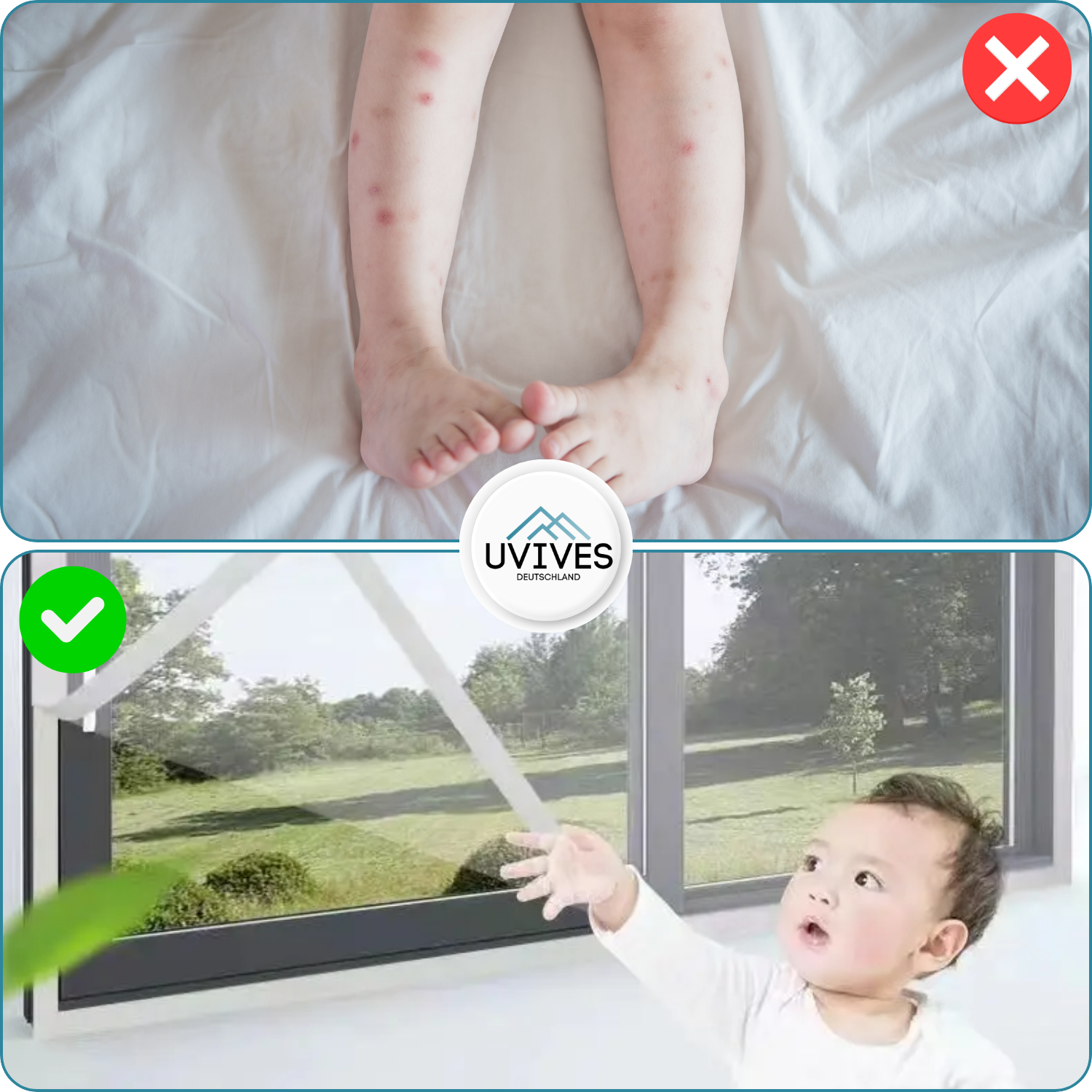 Insect Protection – Fresh Air Without Pests