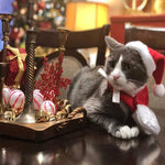 Weihnachtsdeko: Weihnachtsmann Hut mit Schal