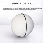 Interaktiver Smartball für Haustiere