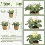 Eucalyptus Dream – Mini Artificial Plant in Braided Basket | 11 cm