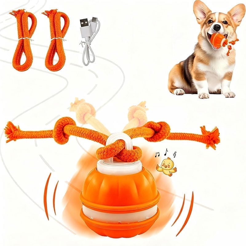 Interactive PetSphere – For hours of playtime fun and mental fitness