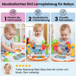 5in1 Lernspielzeug für Babys mit musikalischen Funktionen