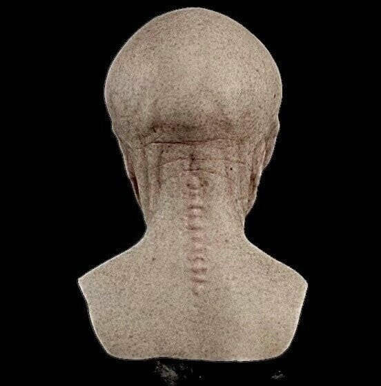 Realistische Halloween-Kostüm-Maske - Alien-Accessoire