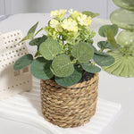 Eucalyptus Dream – Mini Artificial Plant in Braided Basket | 11 cm