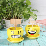 Plant care made easy with flexible wooden markers