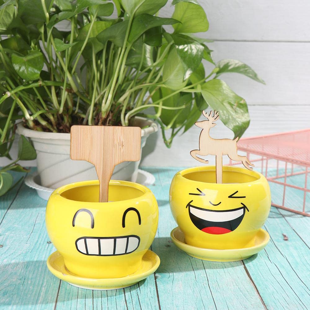 Plant care made easy with flexible wooden markers