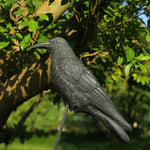 Lifelike Crow Decoy 35 cm | Effective Bird Control for Balcony and Garden