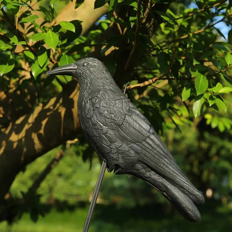 Lifelike Crow Decoy 35 cm | Effective Bird Control for Balcony and Garden