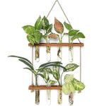 Wall Blooms – Transform Your Walls into Living Art