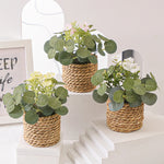 Eucalyptus Dream – Mini Artificial Plant in Braided Basket | 11 cm
