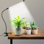 LumiGrow – Effizientes LED-Wachstumslicht für Ihre Pflanzen