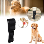 ActivePaw | Knieschiene für schmerzfreie Bewegung und Sicherheit