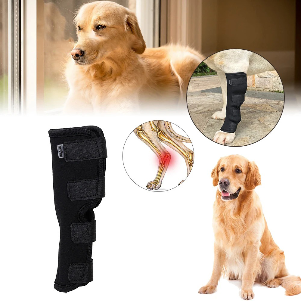 ActivePaw | Knieschiene für schmerzfreie Bewegung und Sicherheit