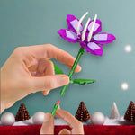 Blütenzauber Adventskalender – 24 Tage kreativ gestalten