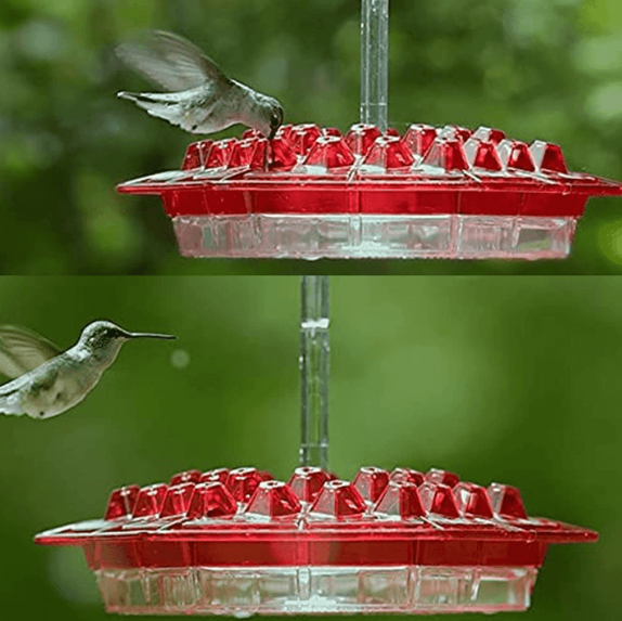 Hummingbird Feeder mit 30 Öffnungen – Ameisenresistent und UV-beständig