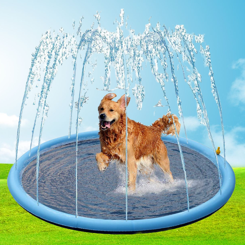 AquaBuddy | Ihr persönliches Wasserparadies für den Garten!