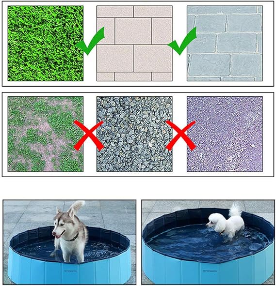 AquaPETS - Robustes und Kompaktes Hundepool