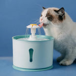 AquaPaws Trinkbrunnen | Weil Ihre Katze das Beste verdient
