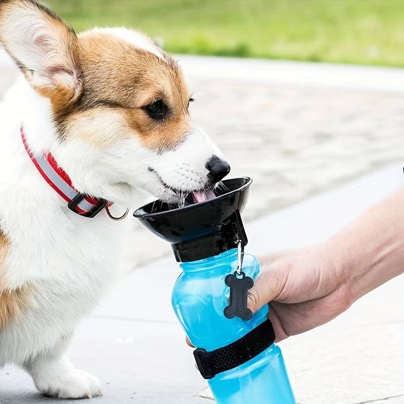 AquaPup | Praktische Wasserflasche für Haustiere