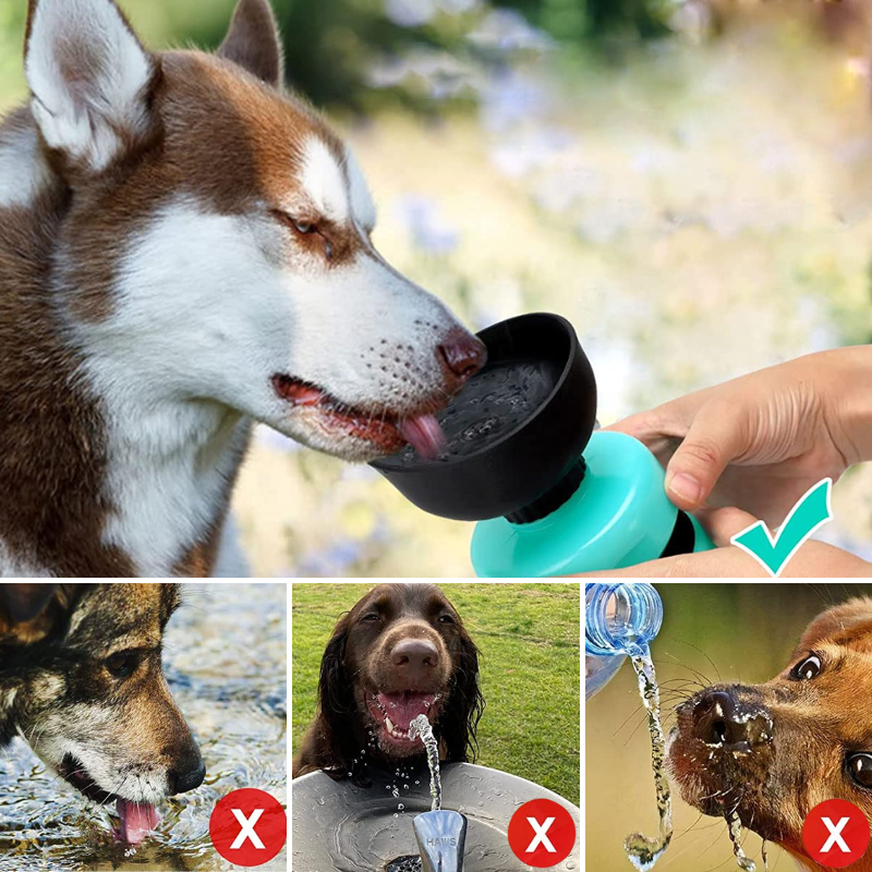 AquaPup | Praktische Wasserflasche für Haustiere