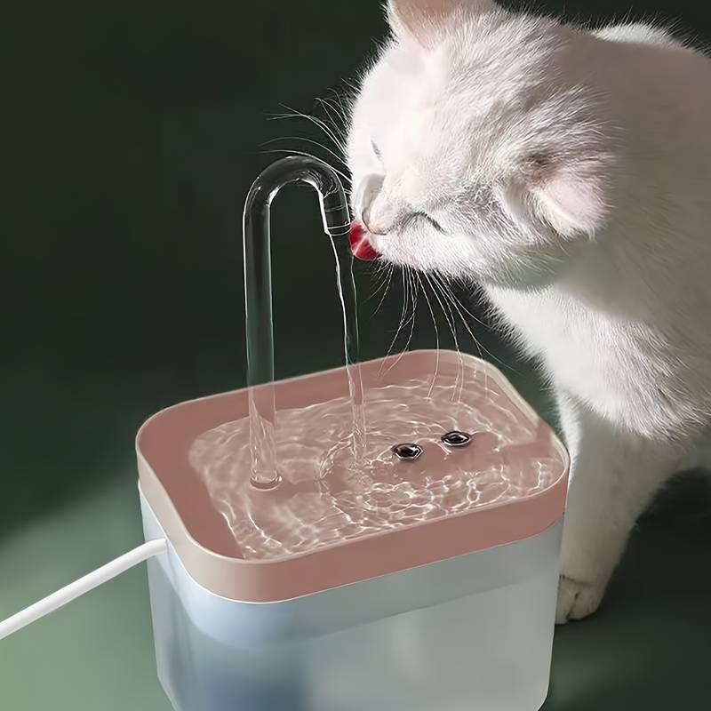 AquaWhisk | Die perfekte Lösung für die Hydration