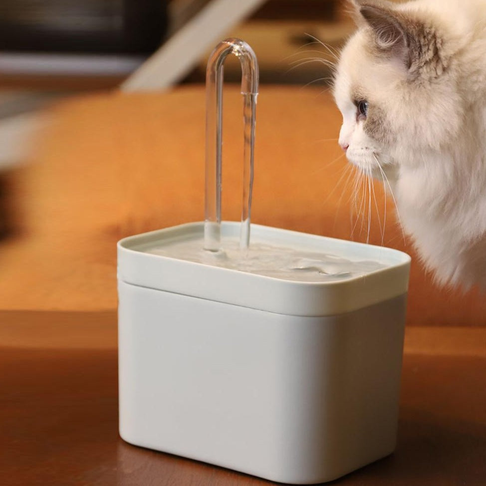 AquaWhisk | Die perfekte Lösung für die Hydration