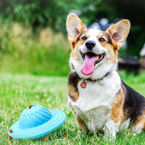 AstroChew | Interaktiver UFO Hundeball