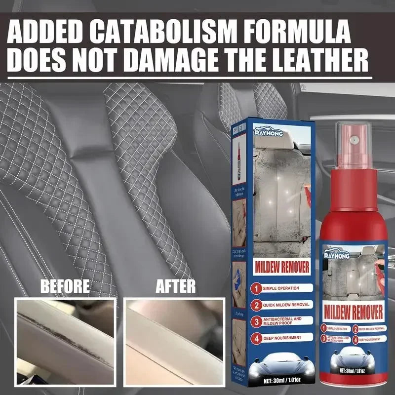 Schnelles Schimmelentferner Spray für Autos | Effektive Innenreinigung