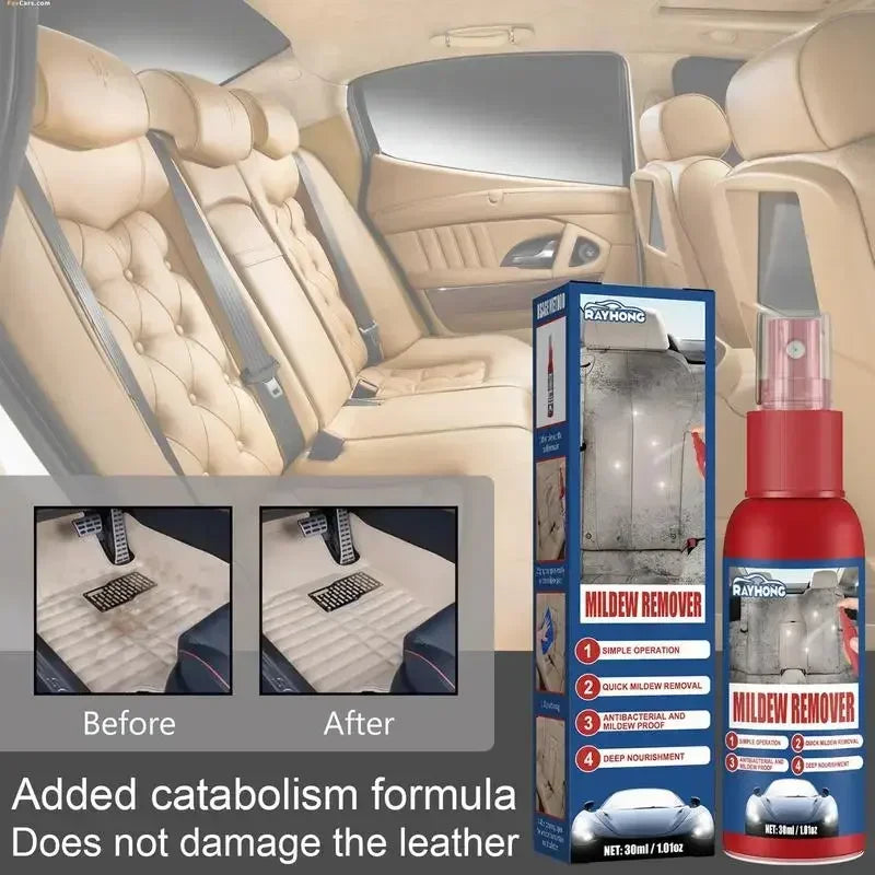 Schnelles Schimmelentferner Spray für Autos | Effektive Innenreinigung