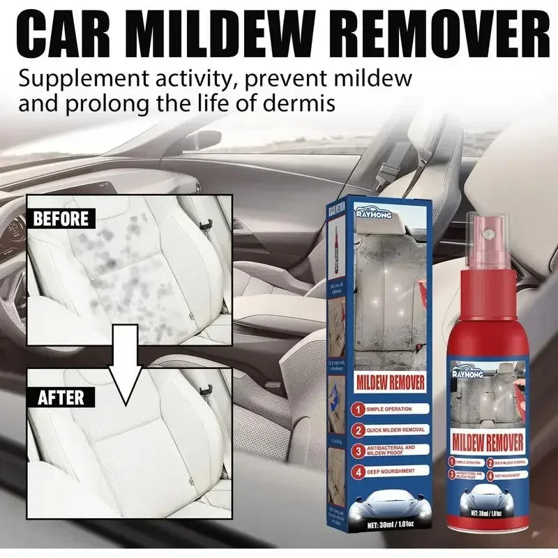 Schnelles Schimmelentferner Spray für Autos | Effektive Innenreinigung