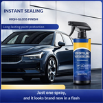 Autolackpflege | Sofortiger Glanz | Schutzspray für Lack