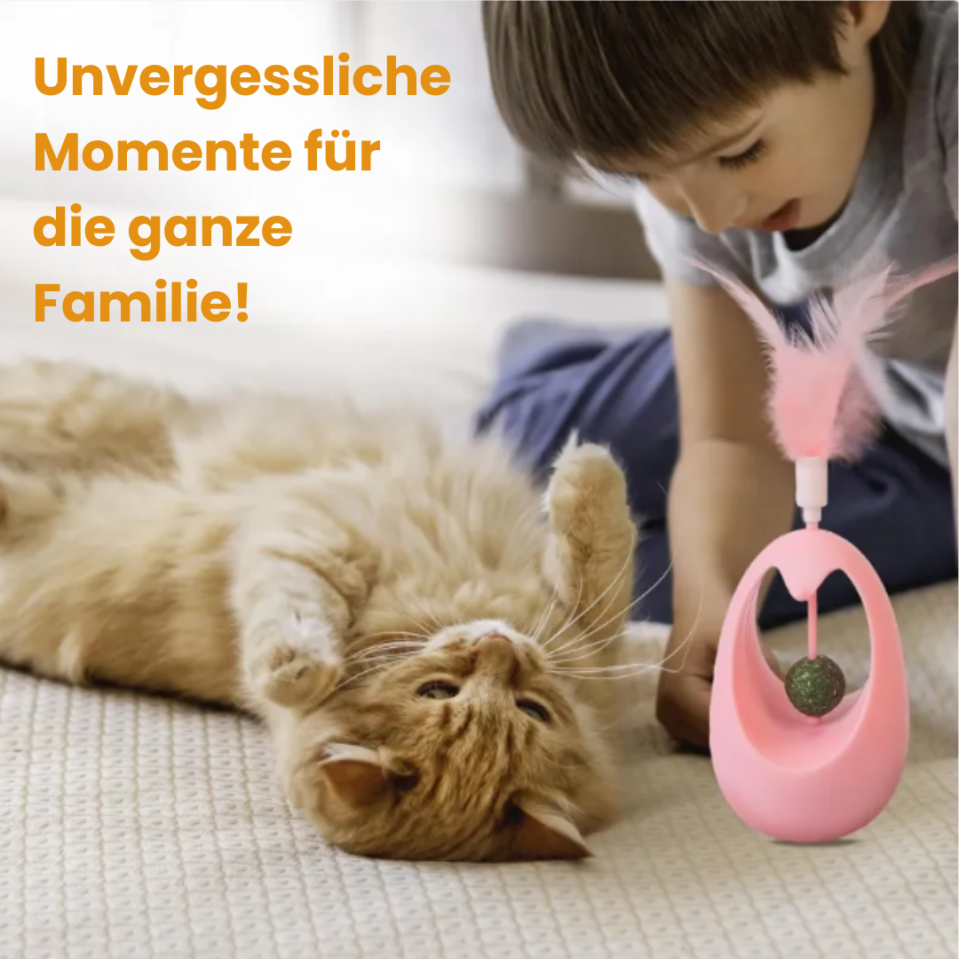 Interaktives Katzenminze-Spielzeug für gesunde Aktivitäten